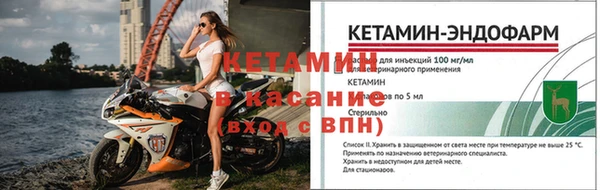 стафф Михайловск