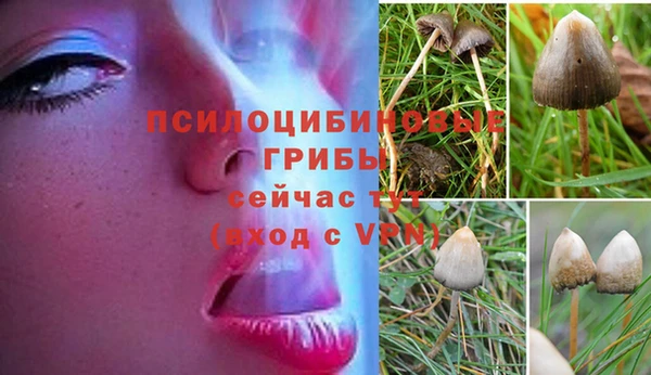 мяу мяу кристалл Михайловка