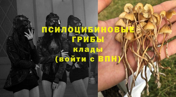 стафф Михайловск