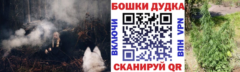 купить   Олёкминск  Конопля Bruce Banner 